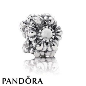 April Birthday Bloom Charm From Pandora